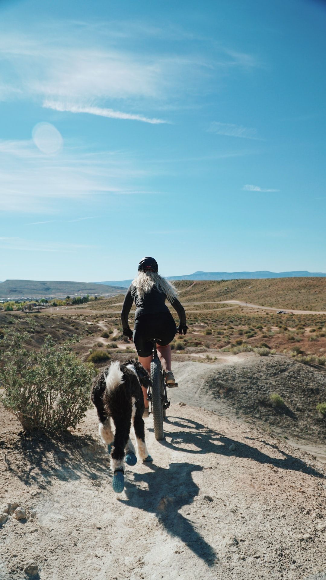 Mountain Biking With Your Furry Friend: An Unbeatable Adventure