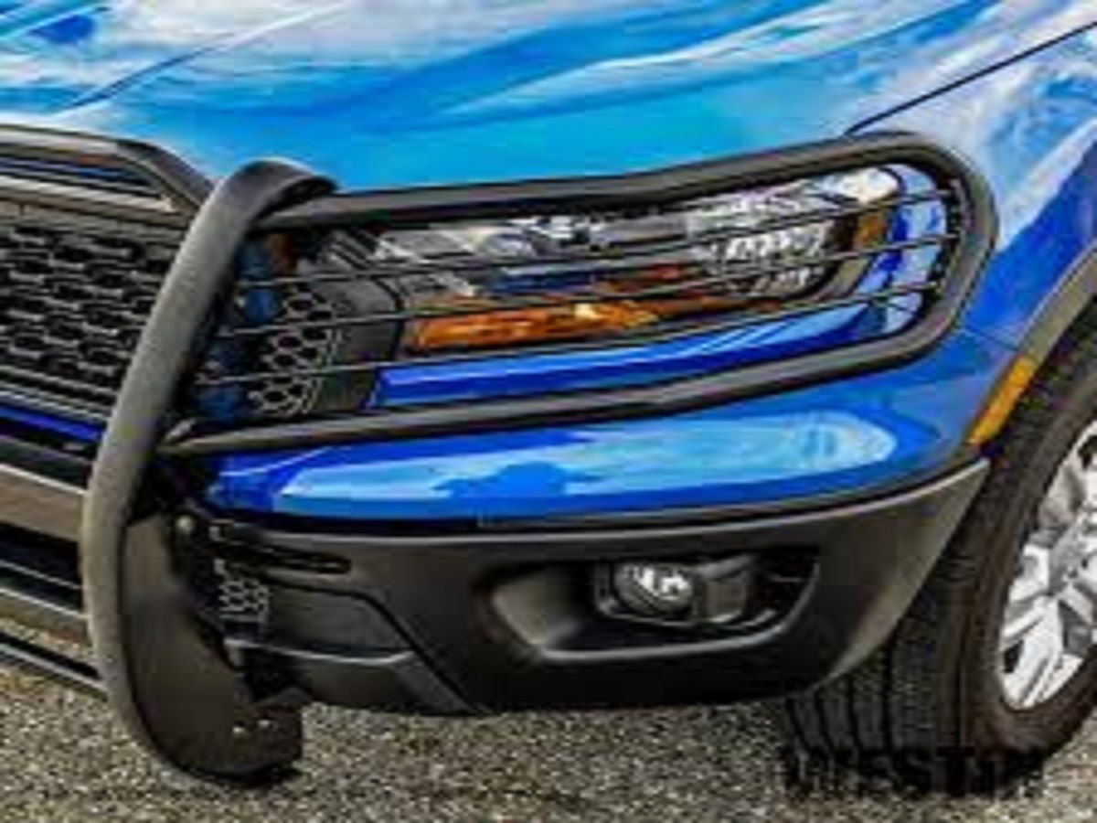 Grille Guard Market Size, In-Depth Analysis Report and Forecast