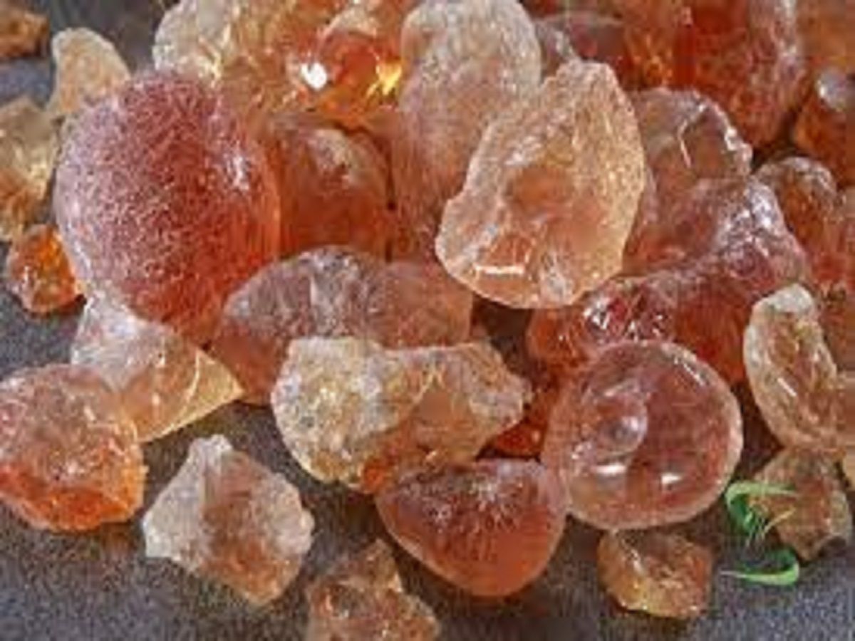 Gum Arabic Market 2022 | Industry Demand, Fastest Growth Report