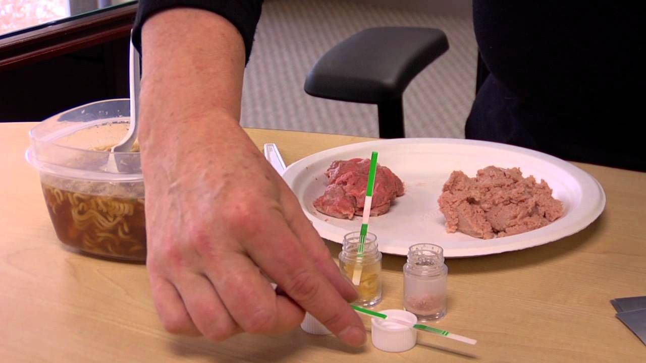 Halal Food Testing Kits Market Size, Share, Regional Overview 
