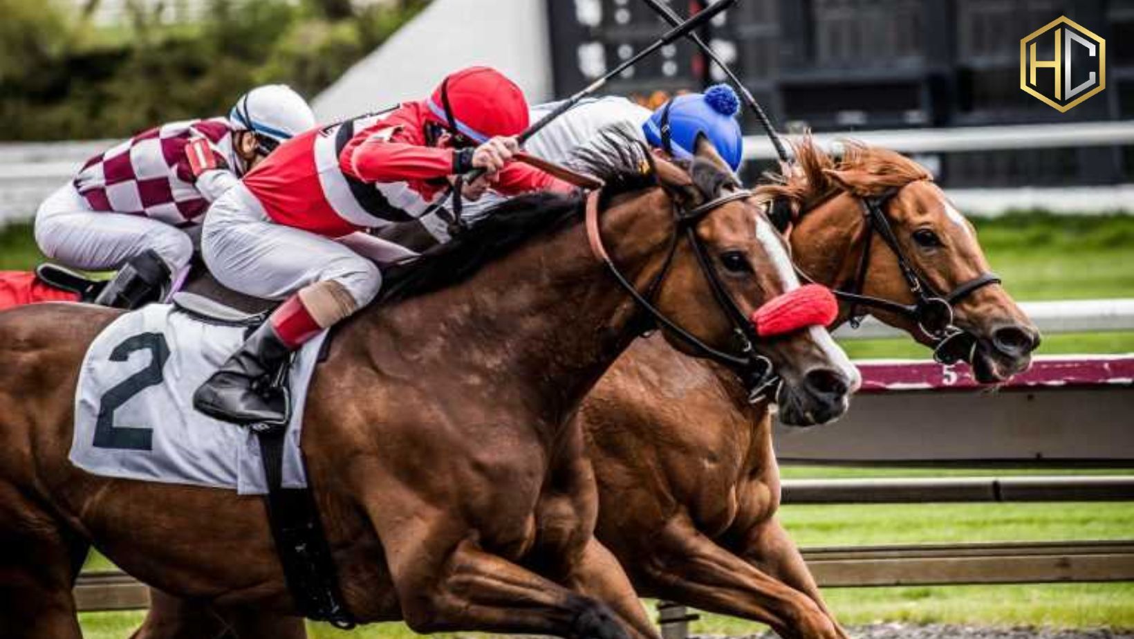 Why Handicapping Contests Excite Horse Racing Fans