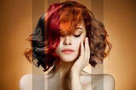 Hair Color Dye Market Overview: Industry Forecast - 2028