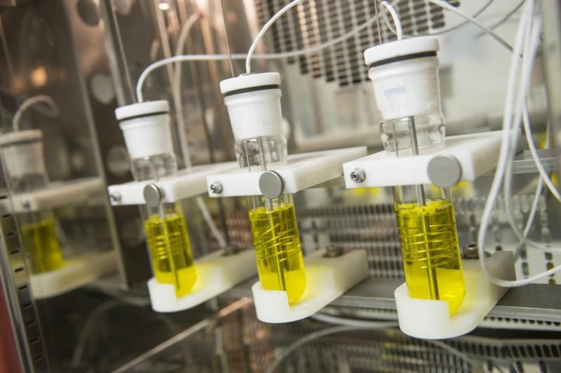Heat Transfer Fluids Market Share 2023 Is Booming 