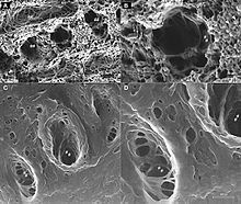 Helium Ion Microscopes Market Share 2021–2028