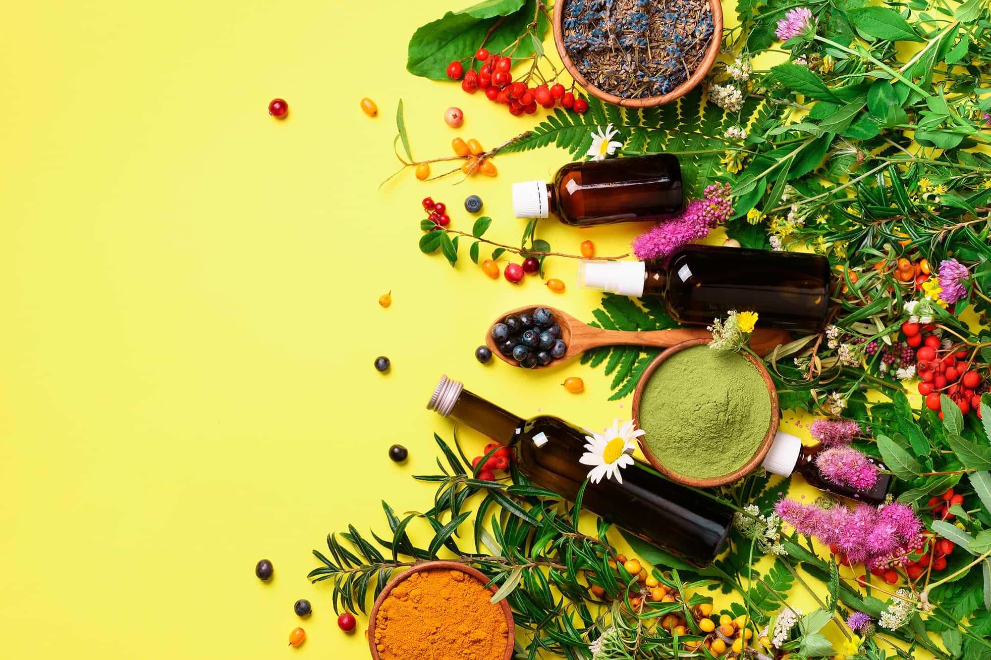 Herbal Extracts Market Trends, Share & Forecast Report to 2028