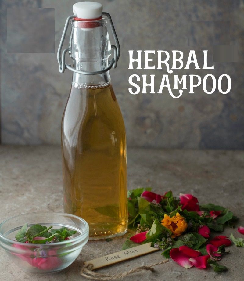 Herbal Shampoo Market Regional Overview and Global Forecast 2028