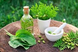 Herbal Supplement and Remedies Market Forecast Report to 2028
