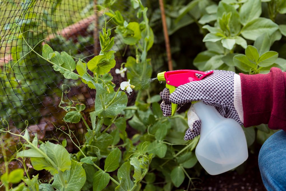 Herbicides Market Forecast Price Outlook and Future Industry Trends (2026–2036)