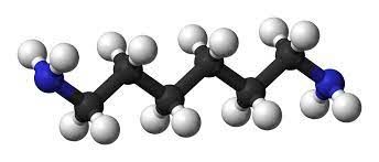 Hexamethylenediamine Market Size, Overview & Forecast 2030