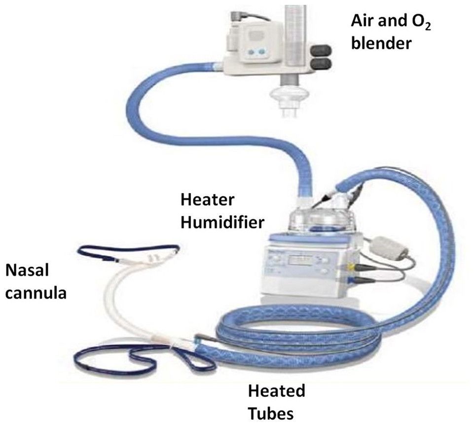 High Flow Nasal Cannula Market Size, Share, Growth Opportunity 
