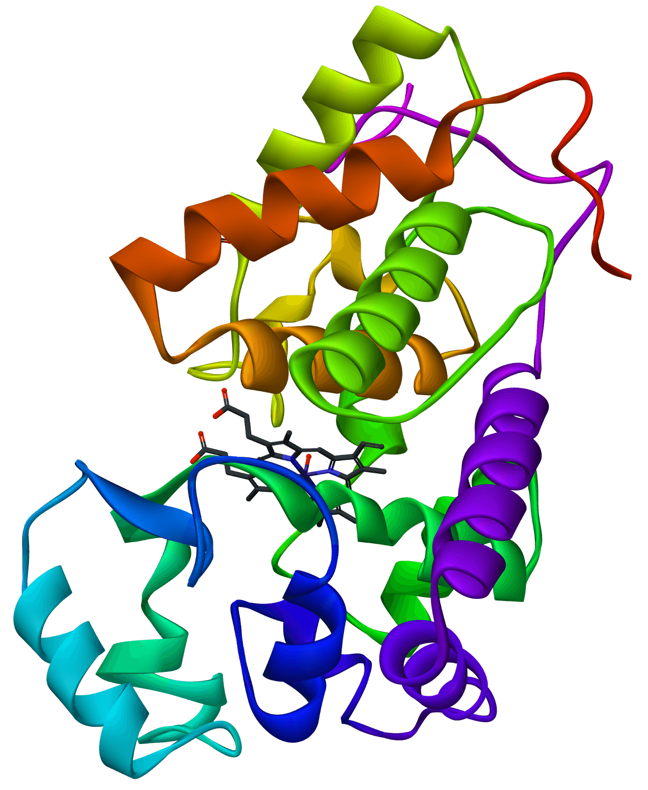 Report on Horseradish Peroxidase Market Research 2028