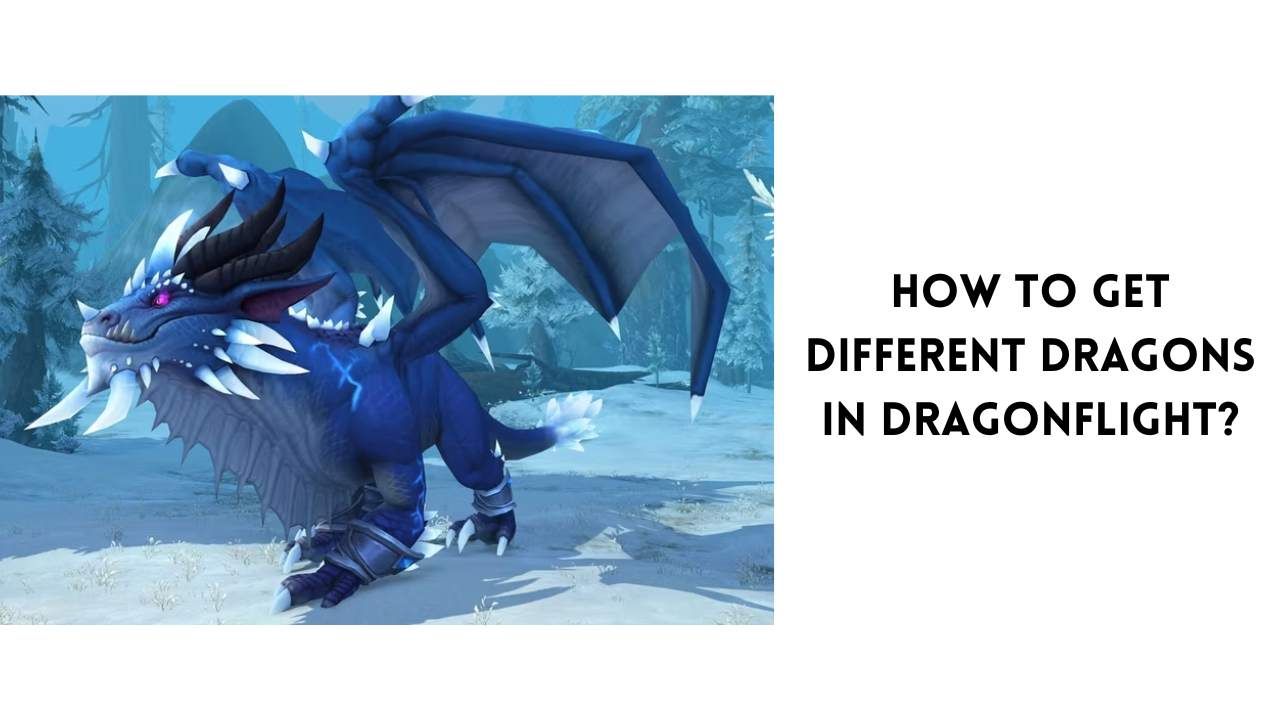 How to Get Different Dragons in Dragonflight?