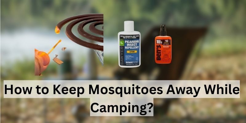 How to Keep Mosquitoes Away While Camping

