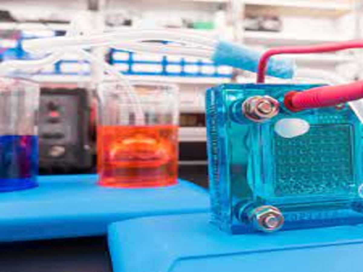 Hydrogen Fuel Cells Market Analysis Report Till 2028
