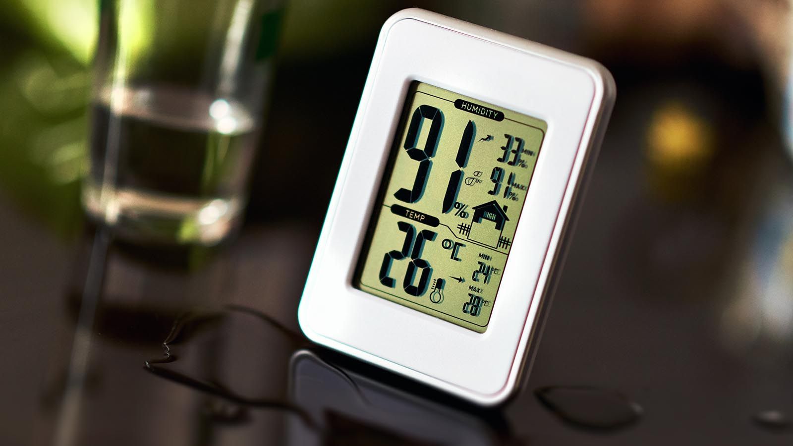 Hygrometer Market Insight | Outlook | Growth Analysis Report 2030