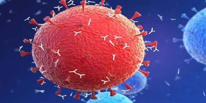 Il-6 Inhibitors Market Report 2021-2028