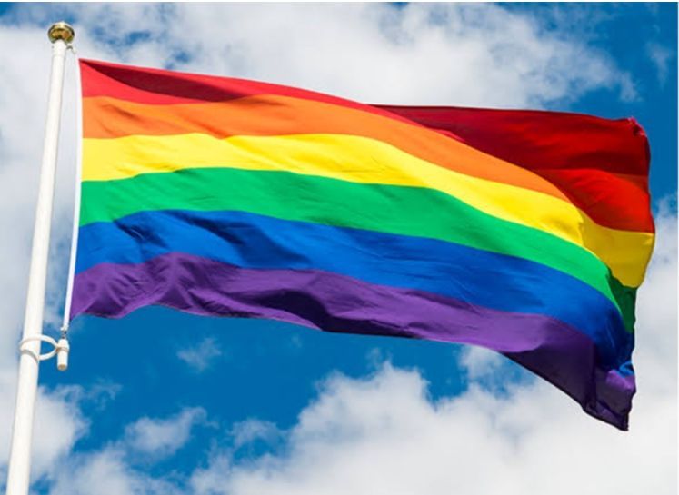 Should Homosexual Marriage Be Legal in India? 