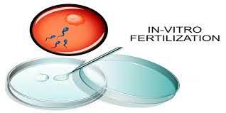 The Science Behind Successful Ivf Treatments