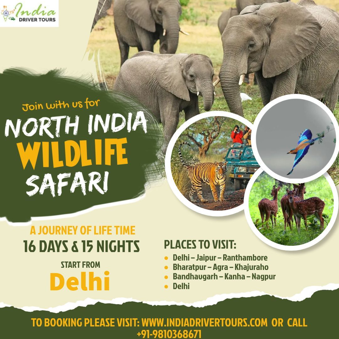 Top 8 Famous North India Wildlife Sanctuaries  