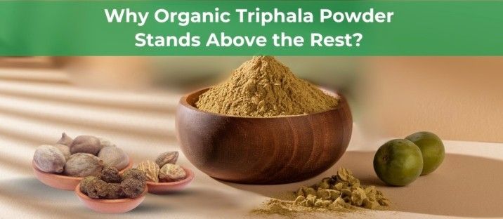 Triphala Powder vs. Other Detox Supplements: Which is Better?