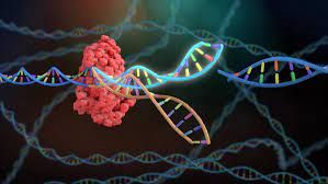 Immunogenetics Market 2022 - Growing Trends and Forecast to 2028