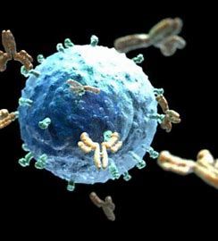 Immuno Oncology Therapy Market  | Latest Trends Report Till 2028
