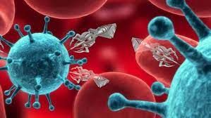 Implantable Biomaterials Market Size, In-Depth Analysis Report
