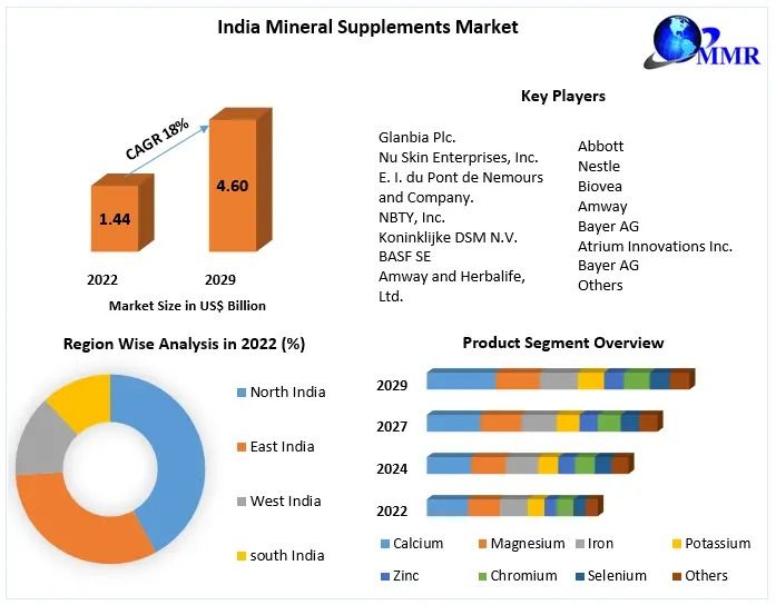 India Mineral Supplements Market Future Estimation and Forecast 2029