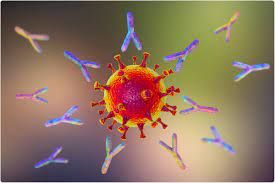 India Monoclonal Antibodies Market Size, Share, Report 2026