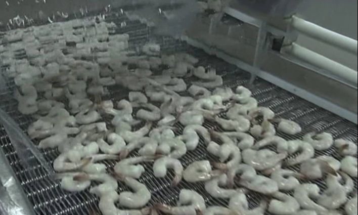 Individual Quick Freezing Market Size & Forecast Report to 2028