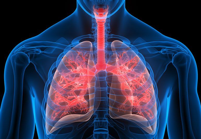 Infectious Respiratory Disease Diagnostics Market Research 2028 
