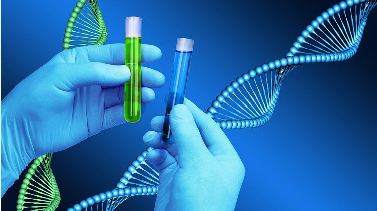 What Are Some Crazy Facts About Dna/genetics?