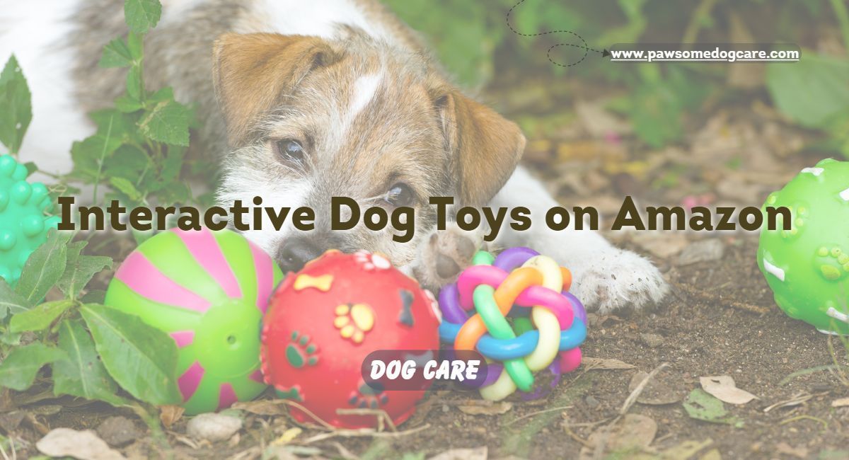Interactive Dog Toys Amazon – Keep Your Pup Happy and Active