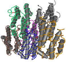 Interferon Market Research Report Forecast and Opportunities 
