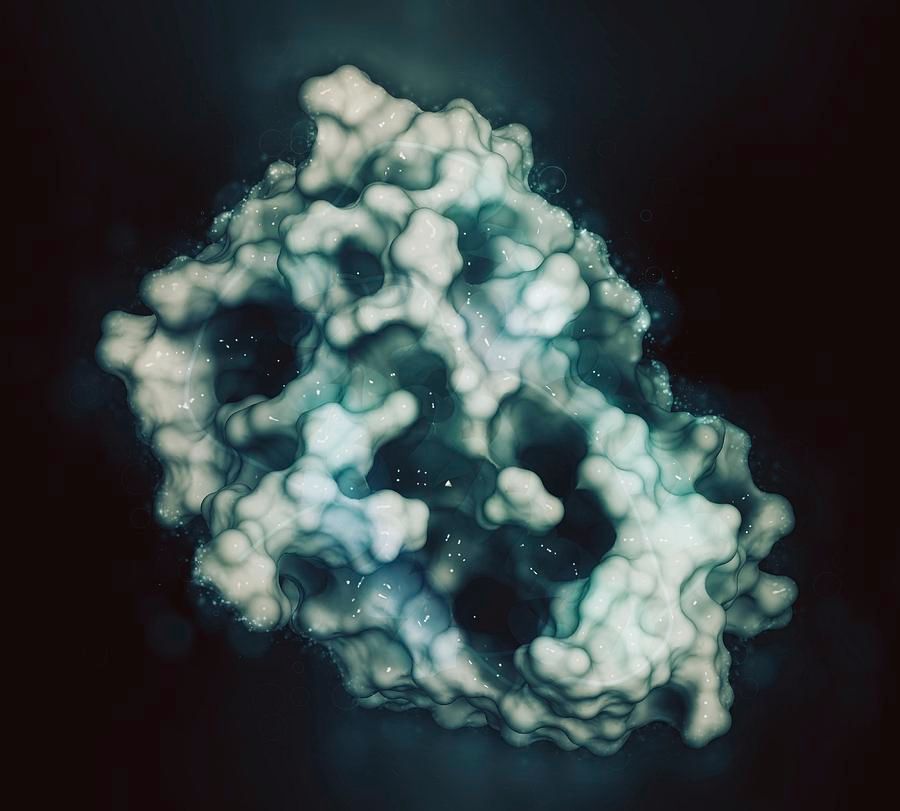 Interferon Alpha-2a Biosimilar Market Size, Share 