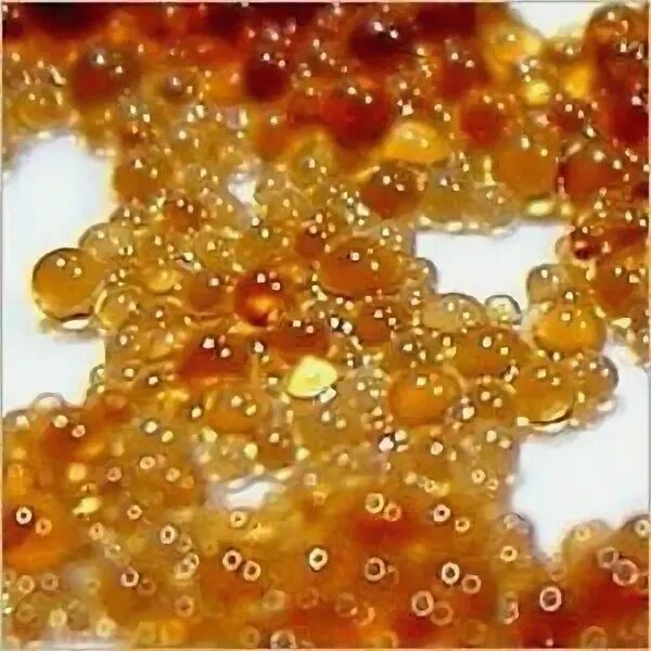 Ion Exchange Resins Market | Future Trends and Forecast by 2030
