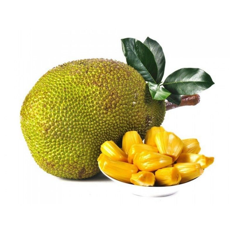 Jackfruit Market Size 2021–2028