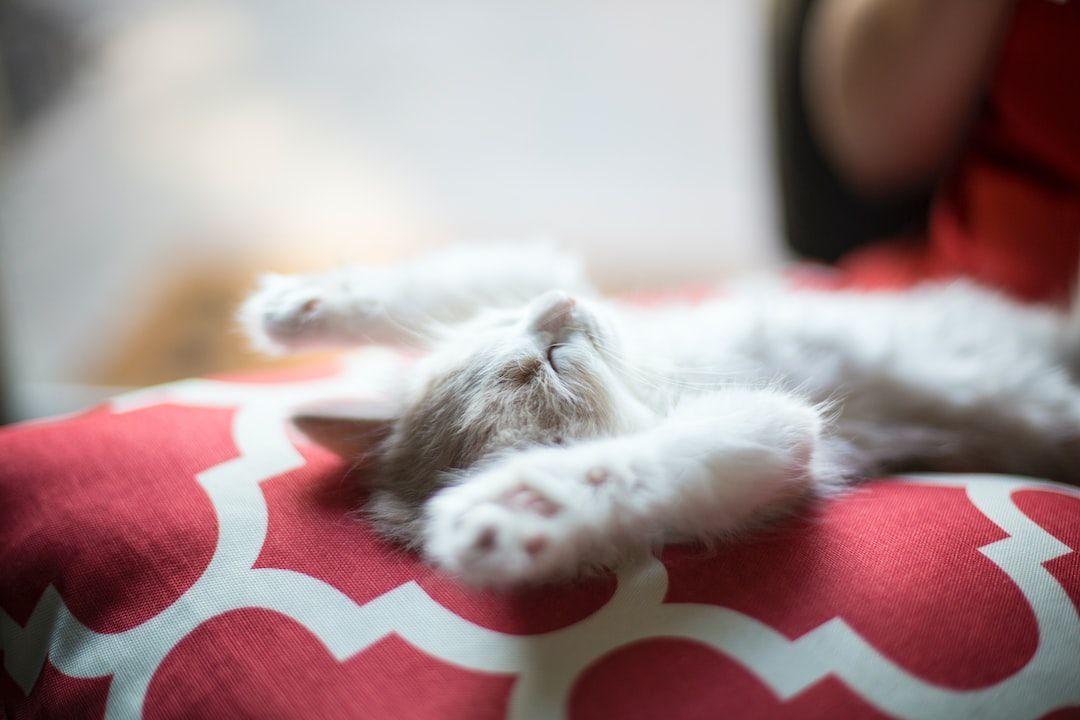 Habbits Struggling to Fall Asleep