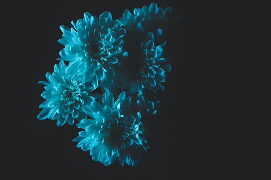 Bleach Precursor Market: Growing Demand for Enhanced Cleaning