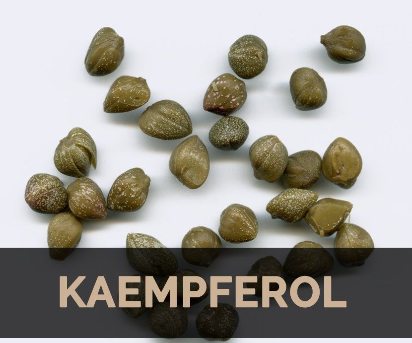 Kaempferol Market 2022 Size, Growth Factors & Forecast Report 