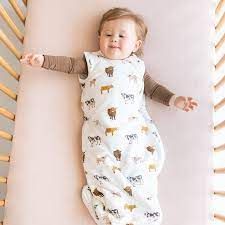 The Complete Guide to the Kyte Blankets Family of Products
