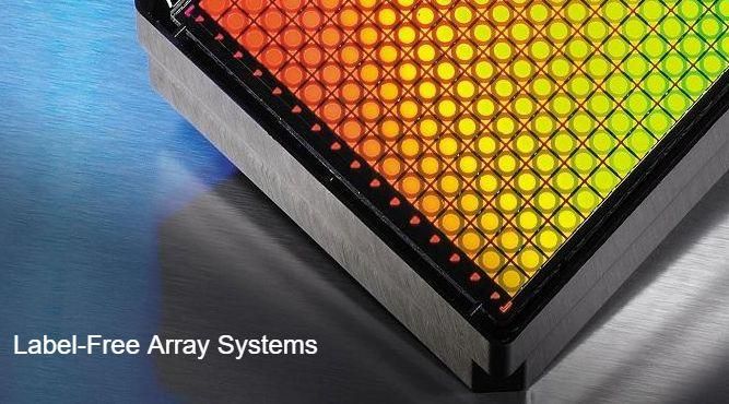 Label-Free Array Systems Market Size, Share, Growth Opportunity 