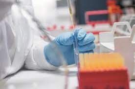 Laboratory Proficiency Testing Market Size, Forecast to 2028
