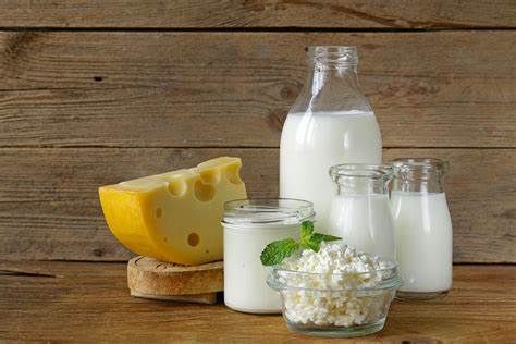 Lactase Market Size, Share - Industry Report 2028