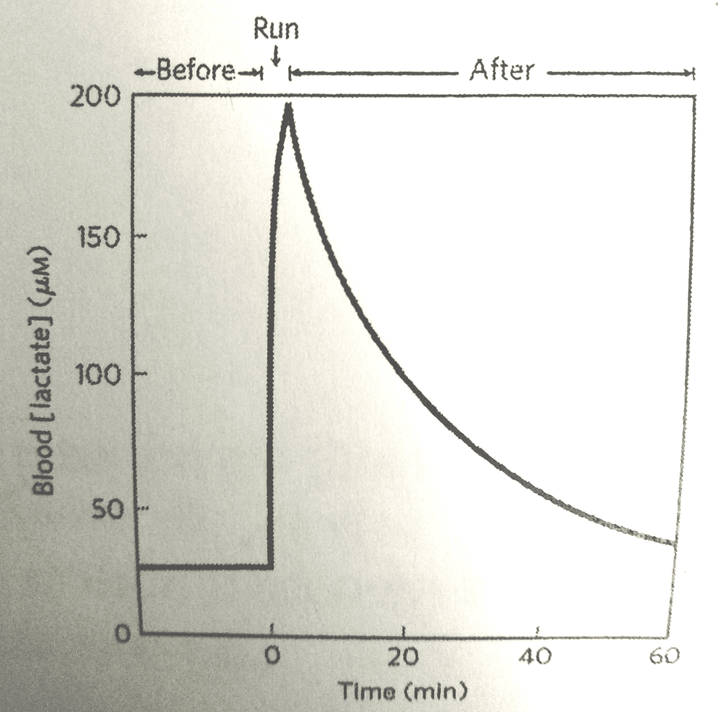 Lactate Meters Market Key Players Analysis and Forecast to 2028