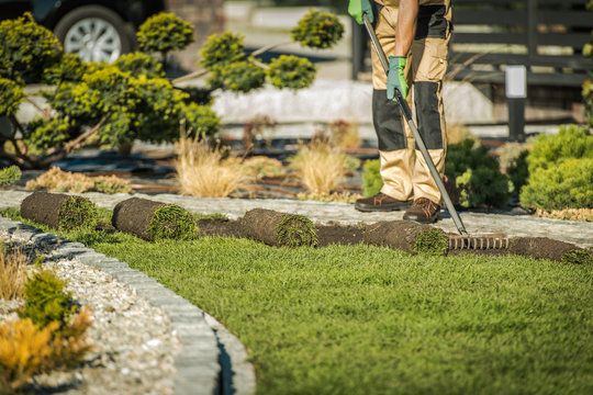 A Practical Guide to Outdoor Spaces and Professional Yard Care