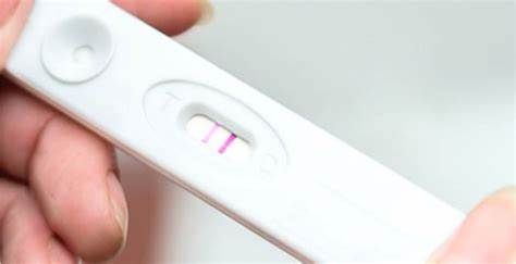 Lateral Flow Rapid Testing Market Research Report | to 2028