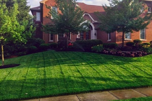 Keeping Your Yard in Top Shape Year-Round