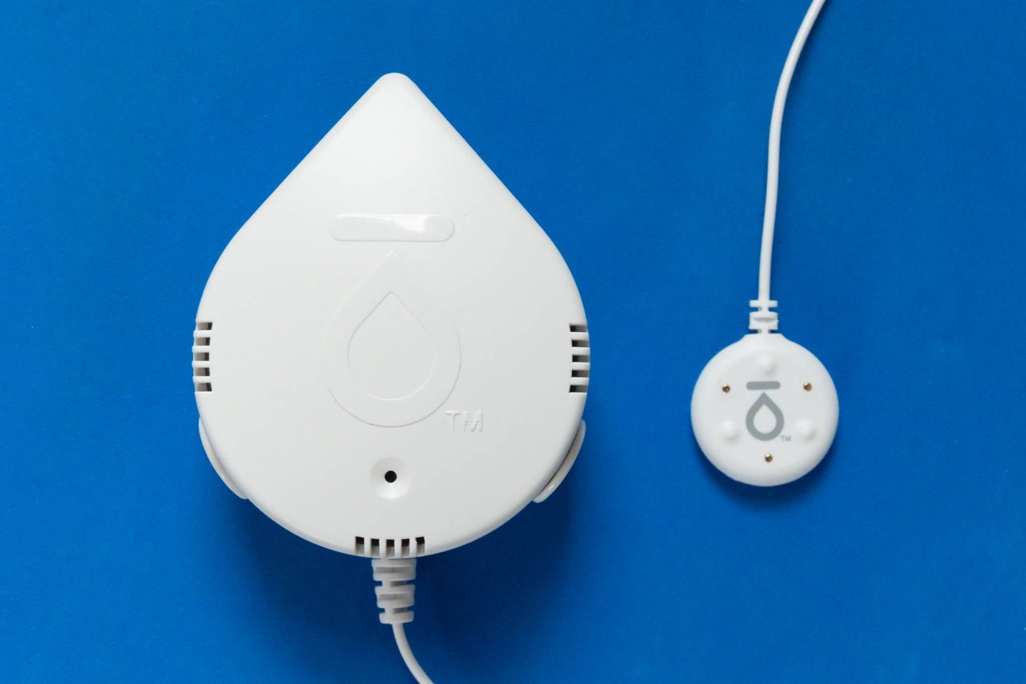 Leak Sensor Market Key Players and Industry Analysis Till 2028