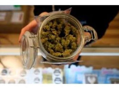 Legal Cannabis Market: Analysis, Size, Share, Growth 2030